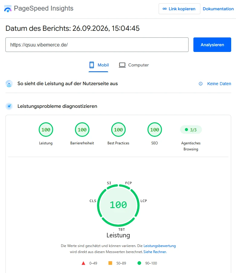 PageSpeed Ergebnis QSUU